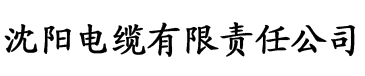 亚洲欧美国产三区电缆厂logo